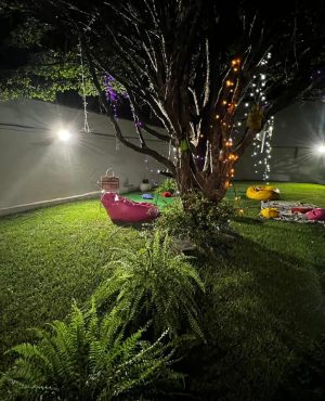 WhatsApp Image 2024-10-17 at 07.50.06