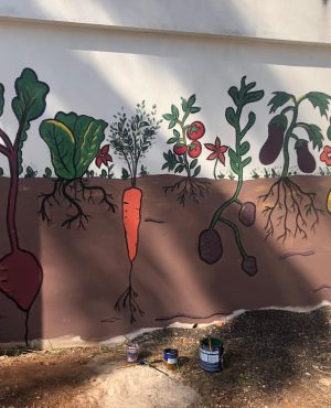 WhatsApp Image 2024-10-17 at 07.50.11