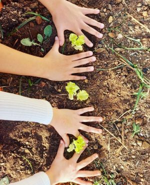 WhatsApp Image 2024-10-20 at 12.36.12 (1)