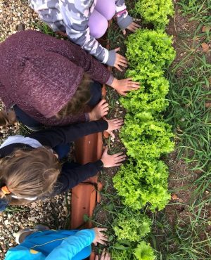 WhatsApp Image 2024-10-20 at 12.36.12 (2)