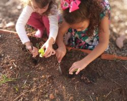 WhatsApp Image 2024-10-20 at 12.36.13