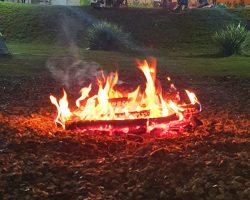 WhatsApp Image 2024-10-20 at 13.39.58