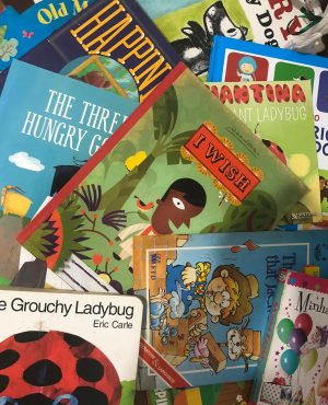 WhatsApp Image 2024-11-06 at 16.46.55